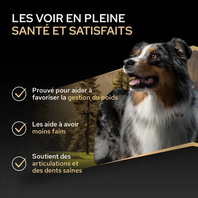 Soutien prouvé pour le contrôle du poids, sensation de faim réduite et promotion de la santé des articulations ainsi que des dents selon le texte de l’image.