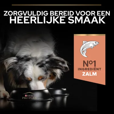 Purina Pro Plan voerbak, hoofdingrediënt zalm. Zorgvuldig bereid voor een heerlijke smaak. Nr. 1 ingrediënt: zalm.