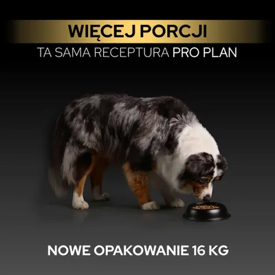 Więcej porcji, ta sama receptura Pro Plan, nowe opakowanie 16 kg. Pies je z miski. Więcej porcji, ta sama receptura Pro Plan, nowe opakowanie 16 kg. Pies je z miski.