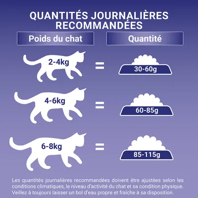 Tableau des quantités journalières recommandées : chat 2–4 kg 30–60 g, 4–6 kg 60–85 g, 6–8 kg 85–115 g. Conseils d’ajustement et eau fraîche à disposition.