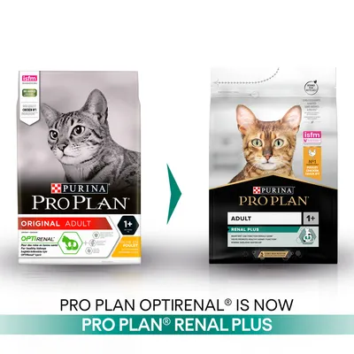 Packaging change from Pro Plan Optirenal Original Adult to Pro Plan Renal Plus Adult 1+, showing new and old product bags side by side with updated names.