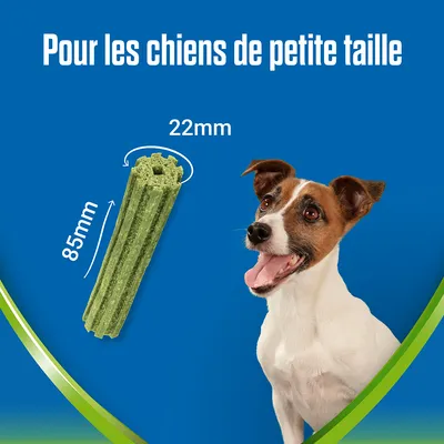 Bâtonnet vert pour chiens de petite taille, dimensions indiquées : 85 mm de long et 22 mm de diamètre. Texte visible : Pour les chiens de petite taille.