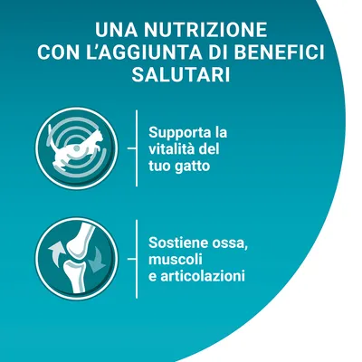 UNA NUTRIZIONE CON L’AGGIUNTA DI BENEFICI SALUTARI. Supporta la vitalità del tuo gatto. Sostiene ossa, muscoli e articolazioni.