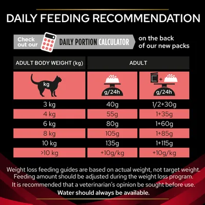 Daily feeding recommendation table showing adult body weight in kg with corresponding daily food amounts in grams. Includes guidance to adjust portions and seek veterinary advice. Water always available.