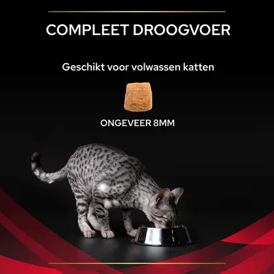 Compleet droogvoer, geschikt voor volwassen katten. Brokjes ongeveer 8 mm groot. Kat eet uit een metalen voerbak.