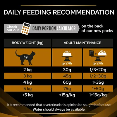 Daily feeding recommendation table for adult maintenance by body weight: 2kg 30g, 3kg 45g, 4kg 60g, 5kg 75g, over 5kg add 15g per kg. Water should always be available.