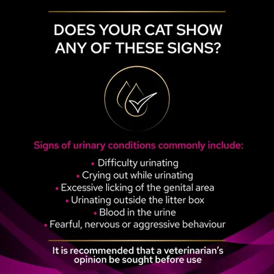 Signs of urinary conditions: difficulty urinating, crying out, excessive licking, urinating outside litter box, blood in urine, fearful or aggressive behaviour. Vet advice recommended.