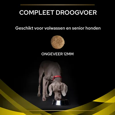 COMPLEET DROOGVOER, geschikt voor volwassen en senior honden, brok van ongeveer 12 mm, afbeelding van hond etend uit metalen bak.