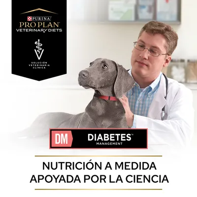 Purina Pro Plan Veterinary Diets, Solución Veterinaria Clínica. DM Diabetes Management. Nutrición a medida apoyada por la ciencia.