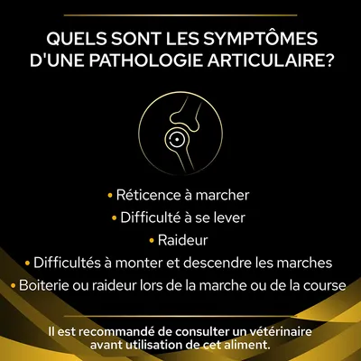 Quels sont les symptômes d'une pathologie articulaire : réticence à marcher, difficulté à se lever, raideur, difficultés à monter/descendre les marches, boiterie ou raideur lors de la marche ou course.