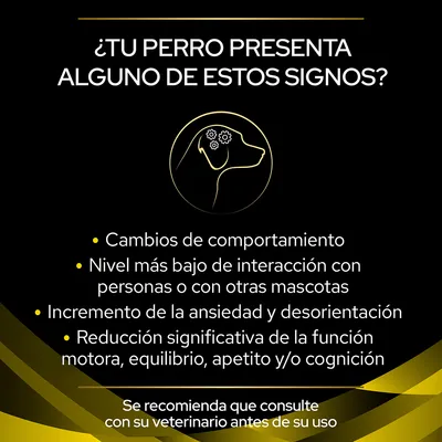 ¿Tu perro presenta alguno de estos signos? Cambios de comportamiento, menor interacción, más ansiedad y desorientación, reducción de función motora, equilibrio, apetito o cognición. Consulte a su veterinario.