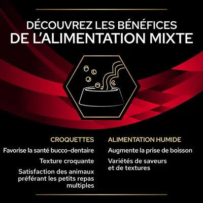 Découvrez les bénéfices de l’alimentation mixte : croquettes favorisent la santé bucco-dentaire, texture croquante, petits repas ; alimentation humide augmente la prise de boisson, variétés.