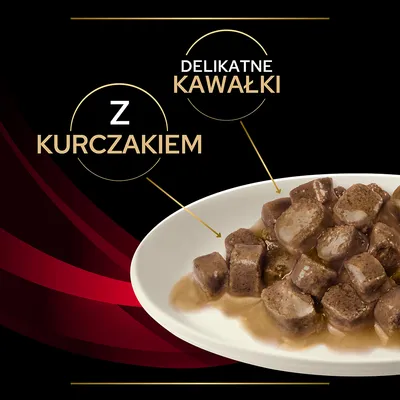 Delikatne kawałki z kurczakiem – widoczne na białym talerzu w sosie, tekst: delikatne kawałki, z kurczakiem.