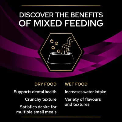 Benefits of mixed feeding: dry food supports dental health, has crunchy texture, satisfies desire for multiple small meals; wet food increases water intake, offers variety of flavours and textures.