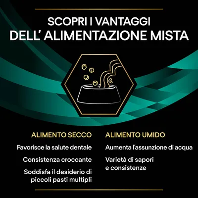 Scopri i vantaggi dell'alimentazione mista: alimento secco favorisce la salute dentale, consistenza croccante, piccoli pasti; alimento umido aumenta acqua, varietà di sapori e consistenze.