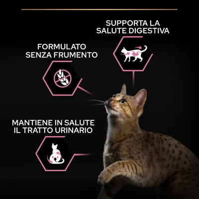 Formulato senza frumento, supporta la salute digestiva, mantiene in salute il tratto urinario. Testo su sfondo nero con icone e un gatto marrone in primo piano.