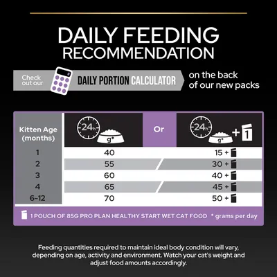 Daily feeding recommendation chart showing grams of food per day by kitten age in months, with options for dry or wet food. Includes portion calculator and feeding guidance note.