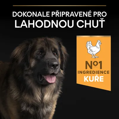 Text v češtine: Dokonale připravené pro lahodnou chuť. №1 ingredience kuře. Ilustrácia psa a kuraťa.