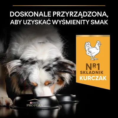 Purina Pro Plan. Doskonale przyrządzona, aby uzyskać wyśmienity smak. Nr 1 składnik kurczak. Pies je z miski Purina Pro Plan.