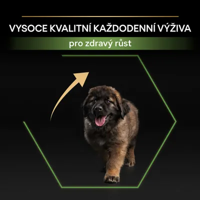 Text: VYSOCE KVALITNÍ KAŽDODENNÍ VÝŽIVA, pro zdravý růst. Štěně v zeleném šestiúhelníku s šipkou směřující vzhůru.