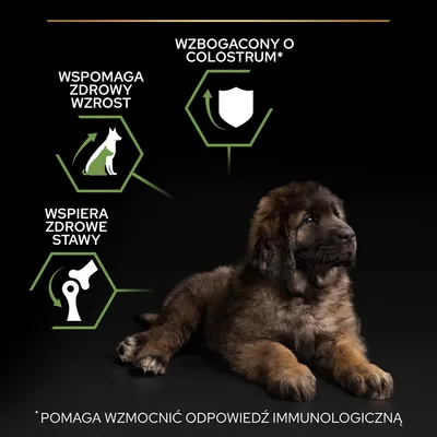 Wspomaga zdrowy wzrost, wspiera zdrowe stawy, wzbogacony o colostrum. Pomaga wzmocnić odpowiedź immunologiczną. Tekst i grafiki obok szczeniaka na czarnym tle.