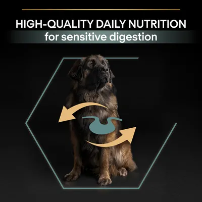 HIGH-QUALITY DAILY NUTRITION for sensitive digestion. Text på engelska ovanför en hund med grafiska pilar och mag-symbol.