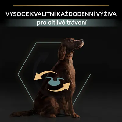 Text v češtine: VYSOCE KVALITNÍ KAŽDODENNÍ VÝŽIVA pro citlivé trávení. Obrázok psa so symbolom žalúdka a šípok znázorňujúcich trávenie.