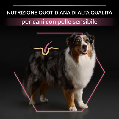 Nutrizione quotidiana di alta qualità per cani con pelle sensibile, testo su immagine con cane e grafica stilizzata sulla schiena.
