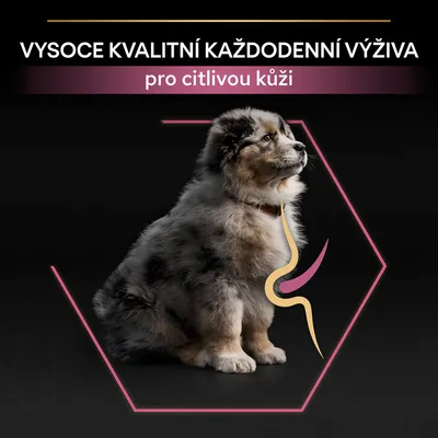 Vysoká kvalita každodenní výživy pro citlivou kůži – text na obrázku se štěnětem a grafickým znázorněním trávicího traktu.