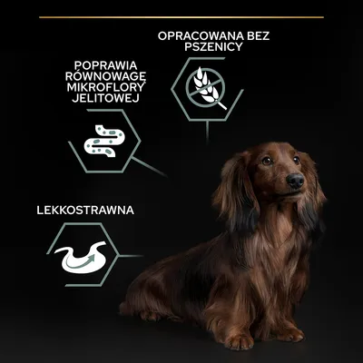Poprawia równowagę mikroflory jelitowej, opracowana bez pszenicy, lekkostrawna – tekst i symbole na czarnym tle obok psa rasy jamnik.
