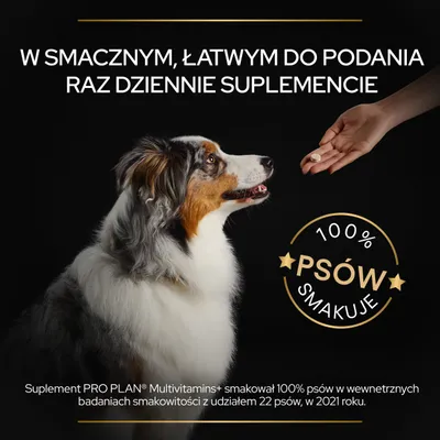 Tekst: W smacznym, łatwym do podania raz dziennie suplemencie. 100% psów smakuje. Suplement PRO PLAN Multivitamins+ smakował 100% psów w badaniu z udziałem 22 psów w 2021 roku.
