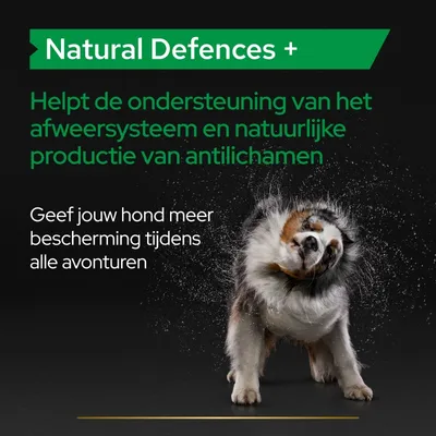 Natural Defences+. Helpt de ondersteuning van het afweersysteem en natuurlijke productie van antilichamen. Geef jouw hond meer bescherming tijdens alle avonturen.