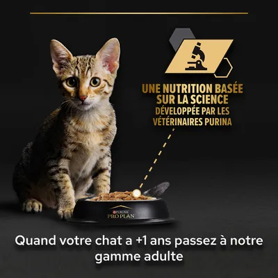 UNE NUTRITION BASÉE SUR LA SCIENCE DÉVELOPPÉE PAR LES VÉTÉRINAIRES PURINA. Quand votre chat a +1 ans passez à notre gamme adulte. Purina Pro Plan visible sur la gamelle.