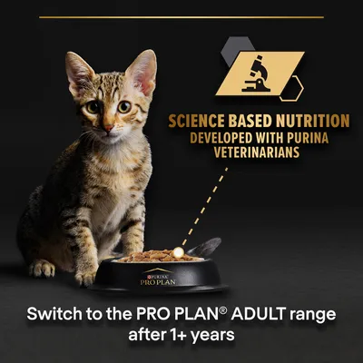 Text: Science based nutrition developed with Purina veterinarians. Switch to the PRO PLAN ADULT range after 1+ years. PURINA PRO PLAN branding visible on cat food bowl.