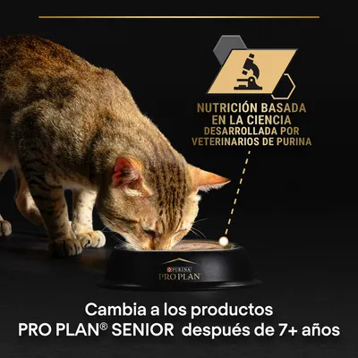 Gato comiendo de un cuenco Purina Pro Plan. Texto: Nutrición basada en la ciencia desarrollada por veterinarios de Purina. Cambia a los productos PRO PLAN SENIOR después de 7+ años. Gato comiendo de un cuenco Purina Pro Plan. Texto: Nutrición basada en la ciencia desarrollada por veterinarios de Purina. Cambia a los productos PRO PLAN SENIOR después de 7+ años.