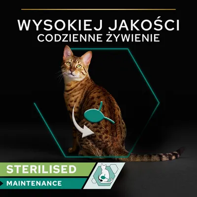 WYSOKIEJ JAKOŚCI CODZIENNE ŻYWIENIE, STERILISED MAINTENANCE. Grafika kota z zaznaczonym pęcherzem moczowym i ikoną kota. Tekst częściowo w języku angielskim.