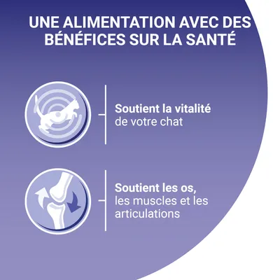 Text în limba franceză: Une alimentation avec des bénéfices sur la santé. Soutient la vitalité de votre chat. Soutient les os, les muscles et les articulations.