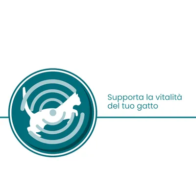 Supporta la vitalità del tuo gatto