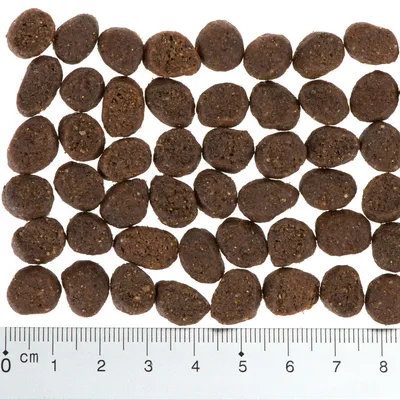 Ruskeita kuivaruokanappuloita viivaimen vieressä; nappulan koko noin 1–1,5 cm. Kokovertailu auttaa valitsemaan sopivan nappulakoon lemmikille.