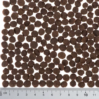 Ruskeita kuivaruokanappuloita viivaimen vieressä; nappulan halkaisija noin 1 cm. Viivain näyttää mitat 0–11 cm.