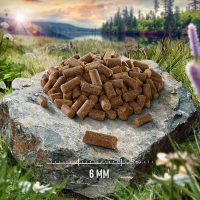 Pelletit, koko 6 mm, esillä kivellä. Taustalla luonnonmaisema, metsä ja järvi.