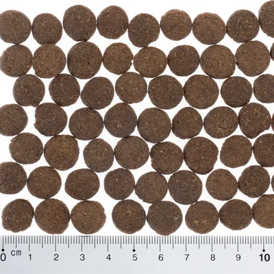 Ronde bruine brokjes droogvoer, diameter ca. 1 cm, met liniaal ter groottebepaling.