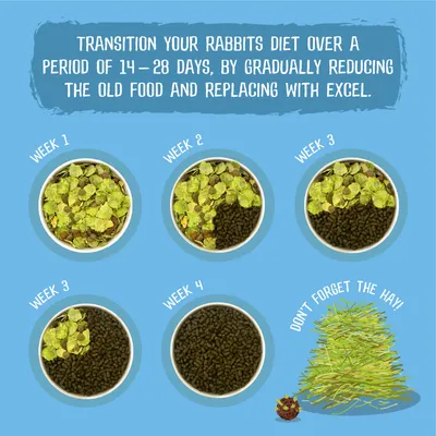 Guide showing how to transition a rabbit’s diet over 14–28 days by gradually replacing old food with Excel pellets each week. Reminder: don’t forget the hay.