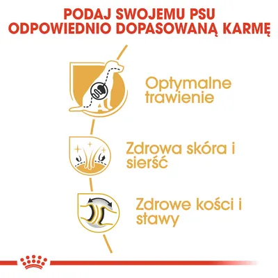 Podaj swojemu psu odpowiednio dopasowaną karmę. Optymalne trawienie, zdrowa skóra i sierść, zdrowe kości i stawy.