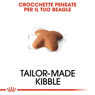 CROCCHETTE PENSATE PER IL TUO BEAGLE. TAILOR-MADE KIBBLE. Crocchetta a forma di stella su sfondo bianco.