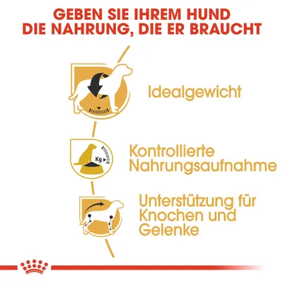 Grafik mit Text: 'Geben Sie Ihrem Hund die Nahrung, die er braucht'. Vorteile: Idealgewicht, kontrollierte Nahrungsaufnahme, Unterstützung für Knochen und Gelenke.