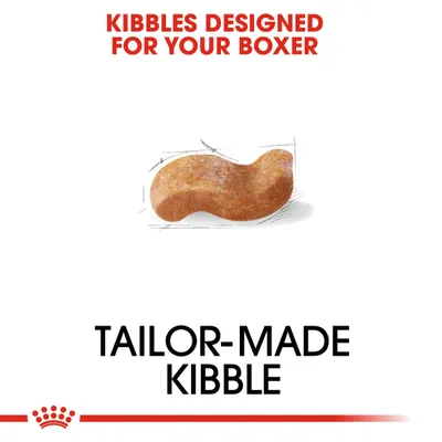 KIBBLES DESIGNED FOR YOUR BOXER, TAILOR-MADE KIBBLE. Teksti englanniksi, kuvassa yksittäinen koiranruokanappula luonnosviivoilla.