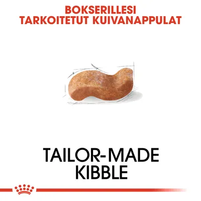 Bokserillesi tarkoitetut kuivanappulat. Tailor-made kibble. Kuvassa yksittäinen nappula.
