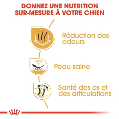 Texte : Donnez une nutrition sur-mesure à votre chien. Réduction des odeurs, peau saine, santé des os et des articulations. Trois icônes illustrent chaque bénéfice.
