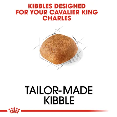 KIBBLES DESIGNED FOR YOUR CAVALIER KING CHARLES, TAILOR-MADE KIBBLE. Kuvassa yksi nappula. Teksti englanniksi.